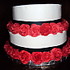 Cake Designs by Janie - Bedford IN Wedding Cake Designer Photo 11