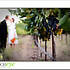 GoodEye Photography + Design - Santa Cruz CA Wedding Photographer Photo 5