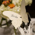 Lisa Kenward Events - Hilton Head Island SC Wedding Planner / Coordinator Photo 9