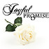 Joyful Promises Officiant Services - Bolingbrook IL Wedding Officiant / Clergy