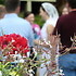 Day 304 Productions - Saint Louis MO Wedding Videographer Photo 5