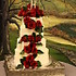 Sweet Confections Bakery & Catering - Barboursville WV Wedding Cake Designer Photo 11