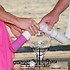 Beach Promises, LLC - Naples FL Wedding Planner / Coordinator Photo 10