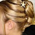 Celebrities Salon - Saint Petersburg FL Wedding Hair / Makeup Stylist Photo 7