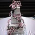 Candy's Creations - Shepherd MI Wedding Cake Designer Photo 17
