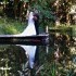 A Perfect Ceremony - Portland OR Wedding Officiant / Clergy Photo 7