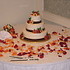 Cakes by Michele - Syracuse NY Wedding Cake Designer Photo 6