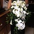 Live Laugh & Bloom Floral - Monticello MN Wedding  Photo 4