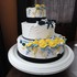 More Frosting Please - Plymouth WI Wedding Cake Designer Photo 10