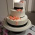 More Frosting Please - Plymouth WI Wedding Cake Designer Photo 9