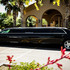 TransCity Limos - Chandler AZ Wedding Transportation Photo 6