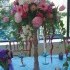 Froggy's Garden Flowers - Kintnersville PA Wedding Florist Photo 9