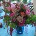 Froggy's Garden Flowers - Kintnersville PA Wedding Florist Photo 10