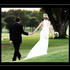 Scott Evans Photography - Houston TX Wedding Photographer Photo 13