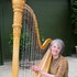 Harpist Christa Grix - Northville MI Wedding Ceremony Musician Photo 6
