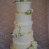 Sofelle Confections - Orlando FL Wedding Cake Designer Photo 2