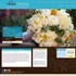 Dream Designs Florist - Orlando FL Wedding Florist