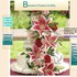 Bloomers Flowers & Gifts - Lead SD Wedding Florist