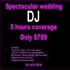 A Better DJ and Photographer Florida & Nationwide - Haines City FL Wedding Photographer Photo 4