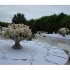 Flowers by Sue - Hilton Head Island SC Wedding Florist Photo 5