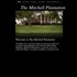 The Mitchell Plantation - Decatur AL Wedding Reception Site