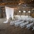 Traders Point Creamery - Zionsville IN Wedding Ceremony Site Photo 5