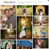 Artistic Visions Photography - Green Bay WI Wedding Photographer