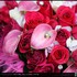 Wessel's Florist & Weddings - Ellicott City MD Wedding Florist