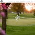 Ames Golf & Country Club - Ames IA Wedding Reception Site