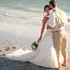 Clearwater Notary & Weddings - Largo FL Wedding Officiant / Clergy Photo 5