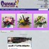 Owens Flower Shop - Lawrence KS Wedding Florist