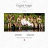 Elegant Images - Everett WA Wedding Photographer