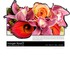 Morgan Floral Company - Greeley CO Wedding Florist