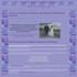 A Perfect Beginning - Cape Coral FL Wedding Planner / Coordinator