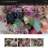 Daylily Floral & Gifts - Grand Rapids MI Wedding Florist