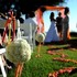 Special Moments - Weddings & Events - Pinellas Park FL Wedding Planner / Coordinator Photo 6