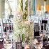 Special Moments - Weddings & Events - Pinellas Park FL Wedding Planner / Coordinator