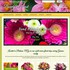 Beverly's Floral & Gifts - Batavia NY Wedding Florist