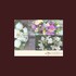 Hot Petunia Fine Flowers - Northford CT Wedding Florist