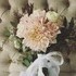 Jenny Mann Floral Design - Santa Barbara CA Wedding Florist