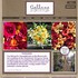 Calluna Fine Flowers - Ogunquit ME Wedding Florist