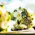 Rena's Fine Flowers - Saratoga Springs NY Wedding Florist