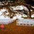 Weddings In Monterey - Seaside CA Wedding Planner / Coordinator Photo 6