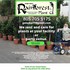 Rainforest Plant Company - Oak View CA Wedding Supplies And Rentals