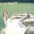 Captures From The Heart Photography - Newark DE Wedding Photographer Photo 2