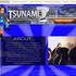 Tsunami Entertainment Group - Ellenton FL Wedding Disc Jockey