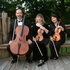 Sequoyah Strings - Knoxville TN Wedding Ceremony Musician Photo 3