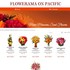 Flowerama On Pacific - Omaha NE Wedding Florist