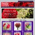 Flowers & Fancies Floral - Owings Mills MD Wedding Florist