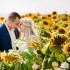 The H Wedding Photography - Algonquin IL Wedding Photographer Photo 3